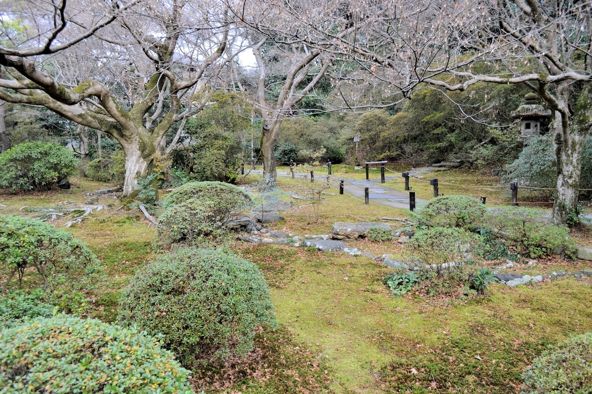 f:id:m00611108:20210626223237j:plain