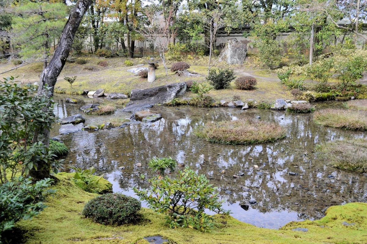 f:id:m00611108:20210704220606j:plain