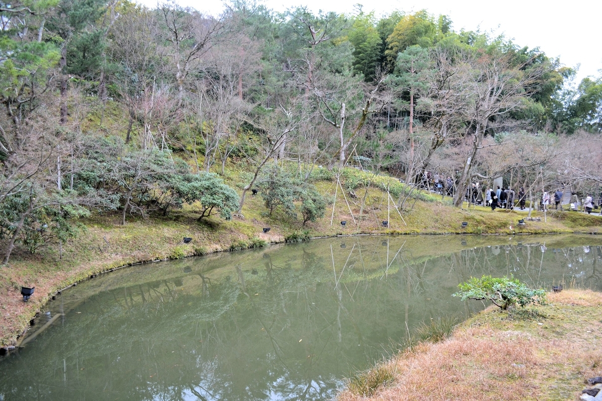 f:id:m00611108:20220104224433j:plain