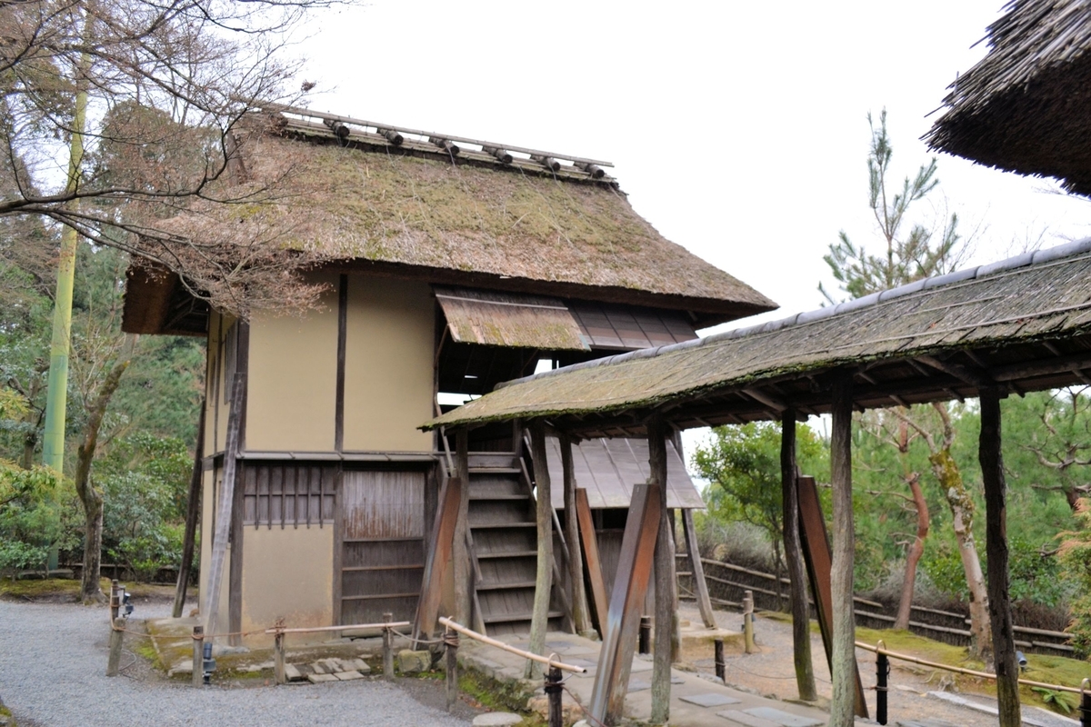 f:id:m00611108:20220105155510j:plain