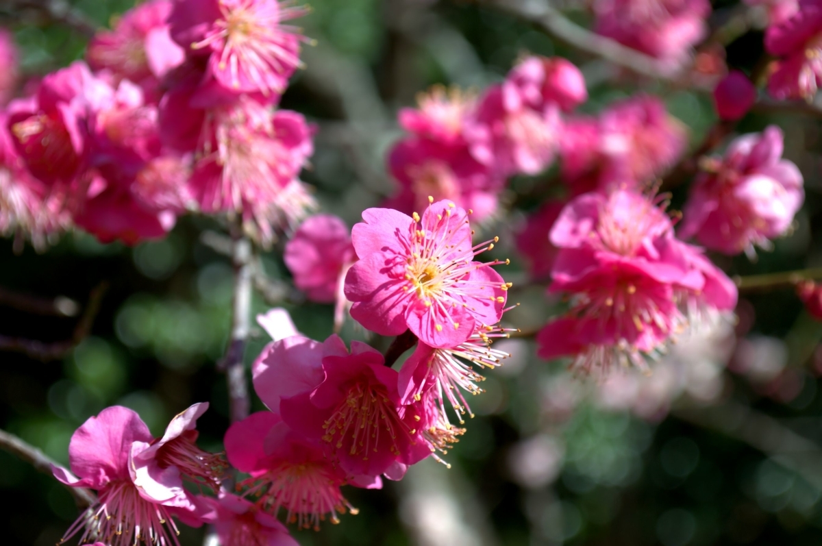 f:id:m00611108:20220221165834j:plain