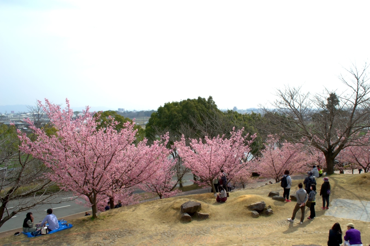 f:id:m00611108:20220319061225j:plain