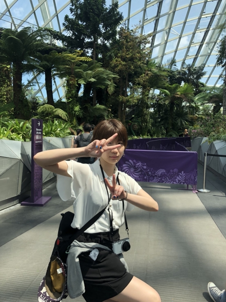 f:id:m0820:20180706164021j:plain f:id:m0820:20180706164021j:plain
