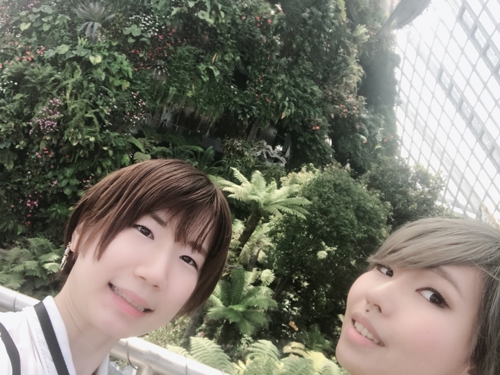 f:id:m0820:20180706165054j:plain f:id:m0820:20180706165054j:plain