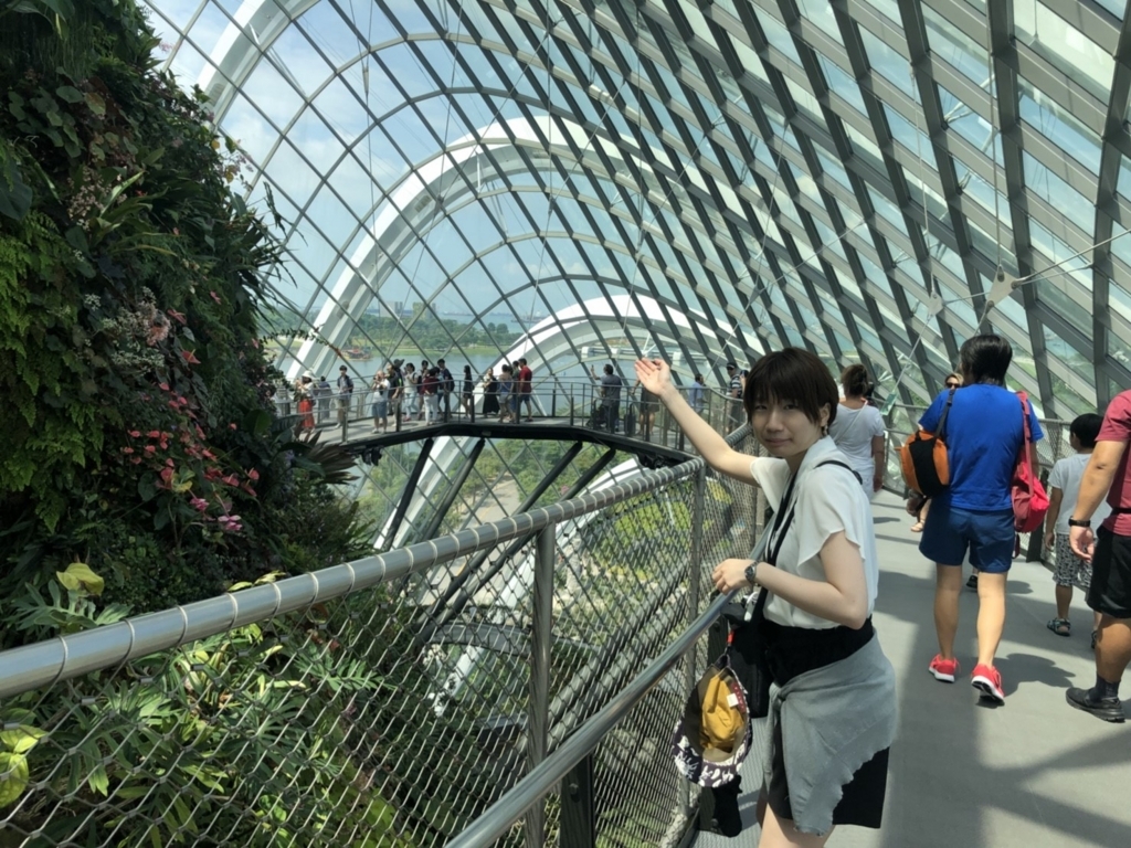 f:id:m0820:20180709132844j:plain f:id:m0820:20180709132844j:plain
