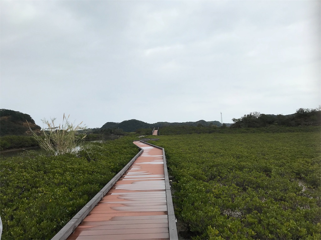 f:id:m0on:20190228222842j:image