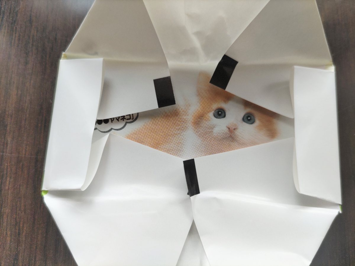 きまぐれねこにゃんチョコ - 鴨川もるもー