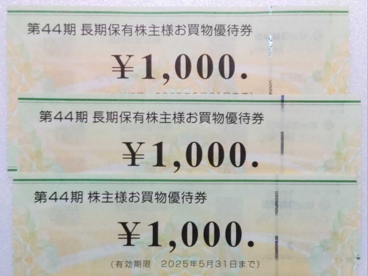 ビックカメラ コジマお買物優待券9000円分