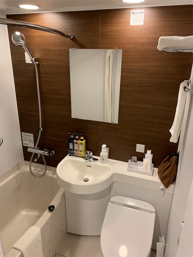 f:id:m14a081k:20190628182559j:image