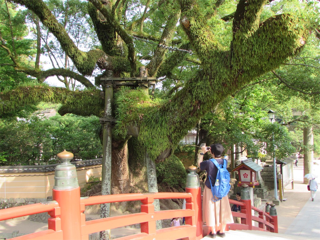 f:id:m1YU1:20180715101323j:image