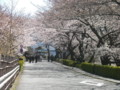 20110404130830