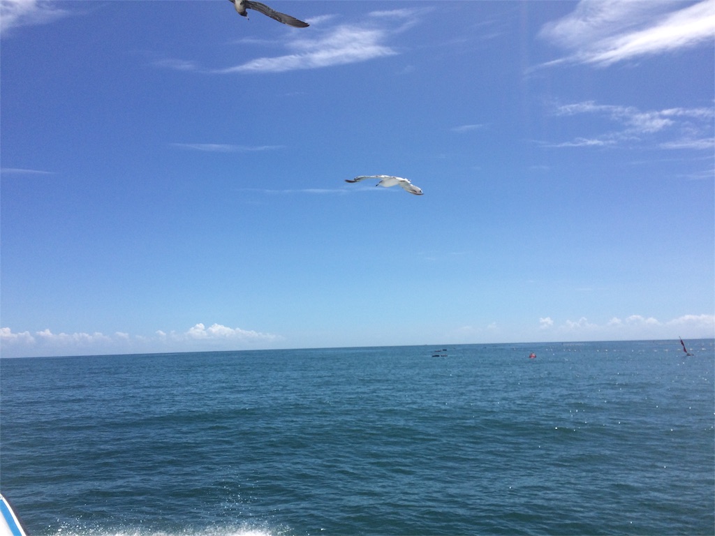 f:id:m23278:20160904223827j:image f:id:m23278:20160904223827j:image