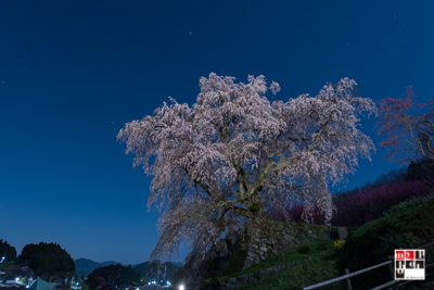 f:id:m2photoCLUB:20170413174802j:plain f:id:m2photoCLUB:20170413174802j:plain