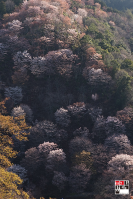 f:id:m2photoCLUB:20170413175945j:plain f:id:m2photoCLUB:20170413175945j:plain