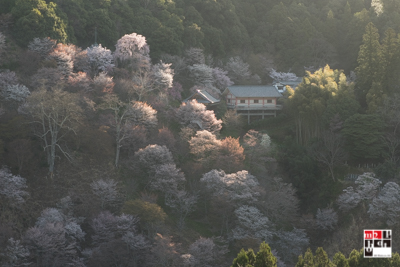 f:id:m2photoCLUB:20170413181732j:plain f:id:m2photoCLUB:20170413181732j:plain