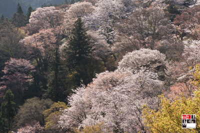 f:id:m2photoCLUB:20170413182558j:plain f:id:m2photoCLUB:20170413182558j:plain