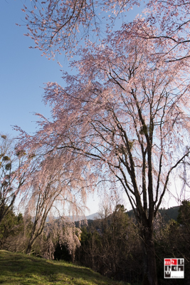 f:id:m2photoCLUB:20170413182739j:plain f:id:m2photoCLUB:20170413182739j:plain
