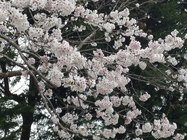 f:id:m3785com:20130329172935j:plain f:id:m3785com:20130329172935j:plain