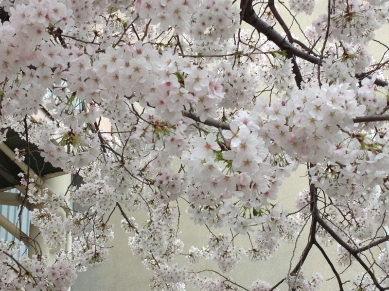 f:id:m3785com:20130331082316j:plain