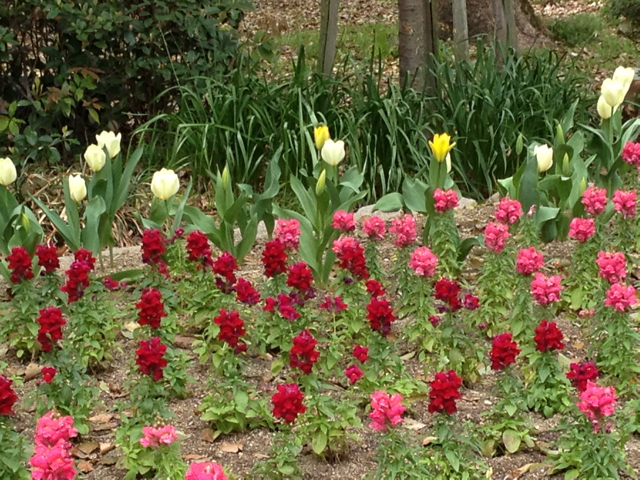 f:id:m3785com:20130402082905j:plain f:id:m3785com:20130402082905j:plain