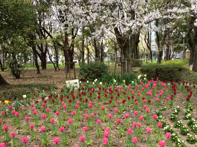 f:id:m3785com:20130402151841j:plain f:id:m3785com:20130402151841j:plain