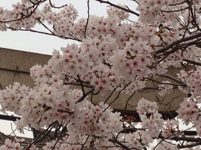 f:id:m3785com:20130404230559j:plain