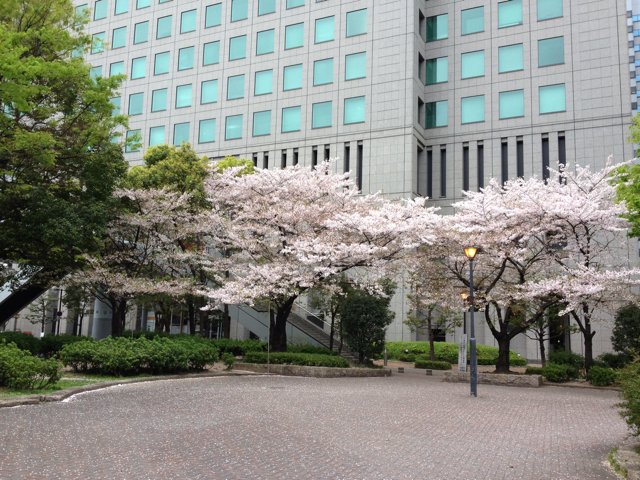 f:id:m3785com:20130406091815j:plain f:id:m3785com:20130406091815j:plain