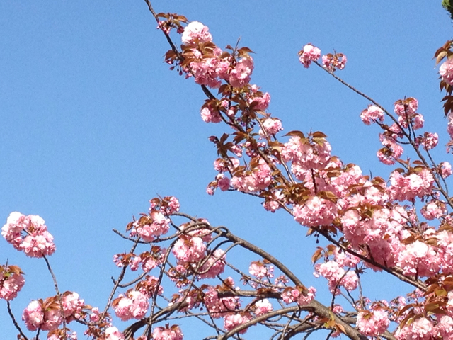 f:id:m3785com:20130413103824j:plain f:id:m3785com:20130413103824j:plain