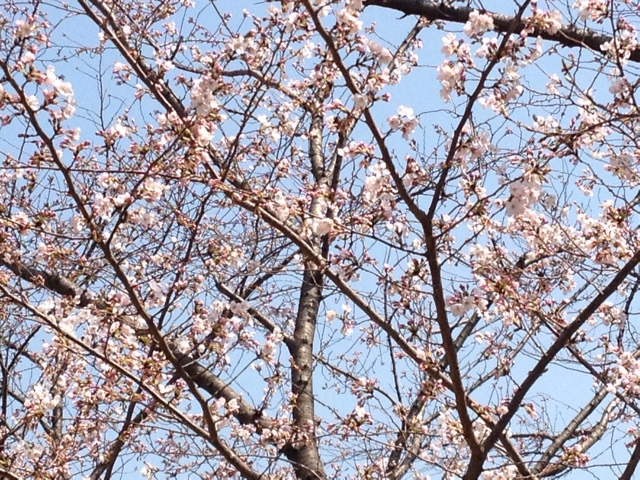 f:id:m3785com:20140328180547j:plain f:id:m3785com:20140328180547j:plain