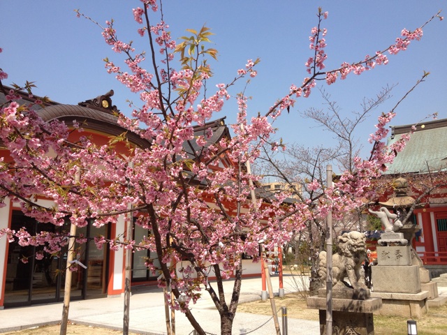 f:id:m3785com:20140328181816j:plain f:id:m3785com:20140328181816j:plain