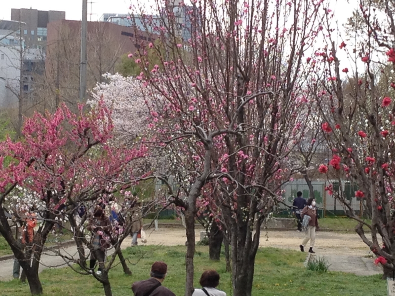 f:id:m3785com:20140329162127j:plain