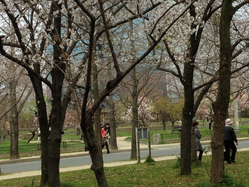 f:id:m3785com:20140329163036j:plain