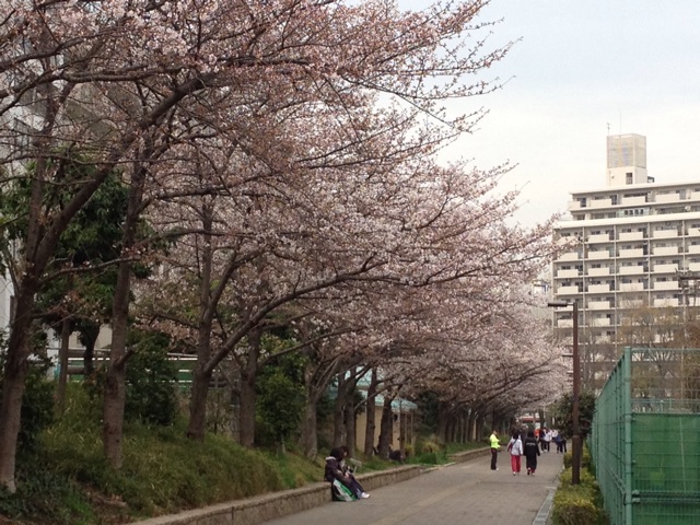 f:id:m3785com:20140329201651j:plain f:id:m3785com:20140329201651j:plain