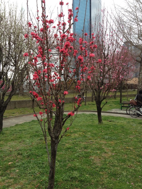 f:id:m3785com:20140329204141j:plain f:id:m3785com:20140329204141j:plain