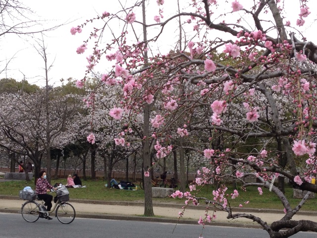 f:id:m3785com:20140329204210j:plain f:id:m3785com:20140329204210j:plain