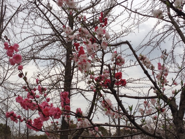 f:id:m3785com:20140329204355j:plain f:id:m3785com:20140329204355j:plain