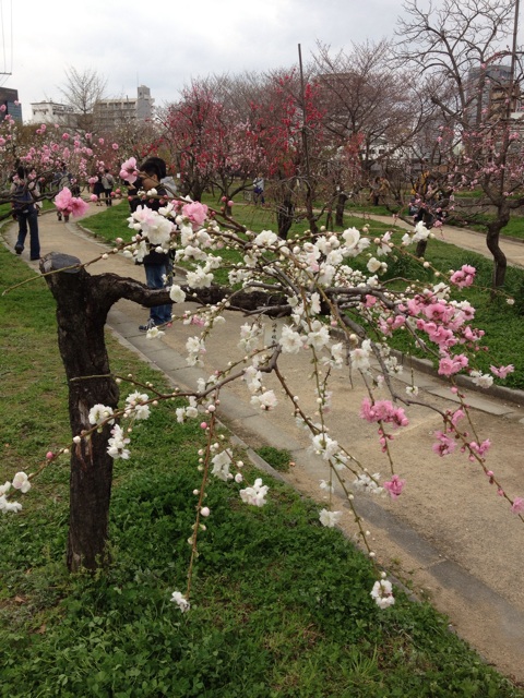 f:id:m3785com:20140329204519j:plain f:id:m3785com:20140329204519j:plain