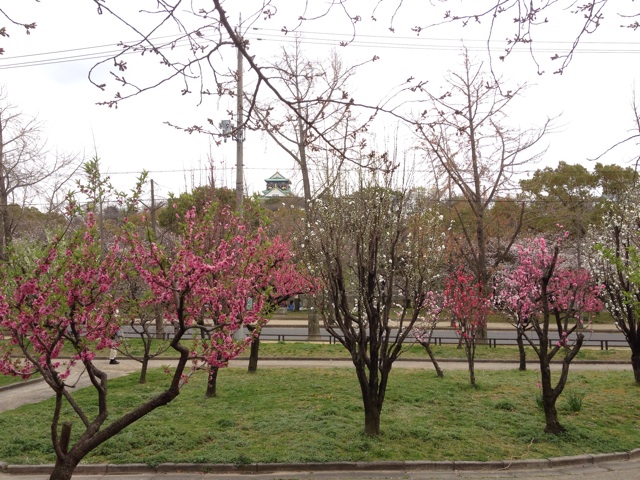 f:id:m3785com:20140329204618j:plain f:id:m3785com:20140329204618j:plain