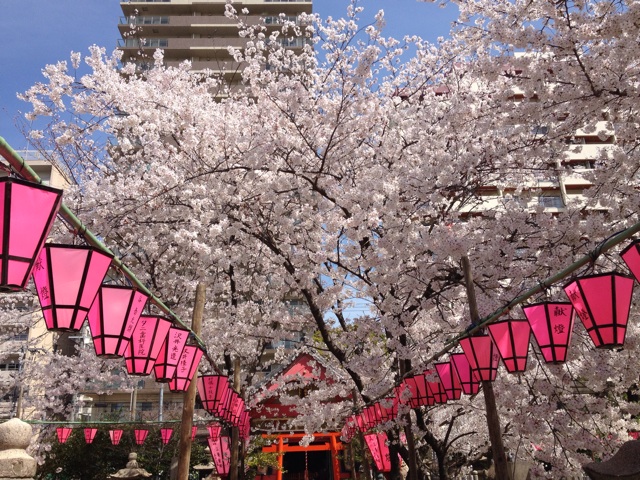 f:id:m3785com:20140401185128j:plain f:id:m3785com:20140401185128j:plain