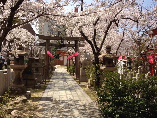 f:id:m3785com:20140401185852j:plain f:id:m3785com:20140401185852j:plain
