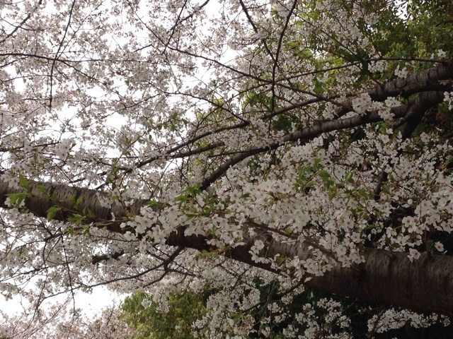 f:id:m3785com:20140405234137j:plain f:id:m3785com:20140405234137j:plain
