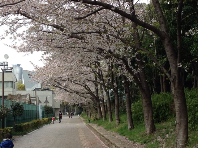 f:id:m3785com:20140405234214j:plain