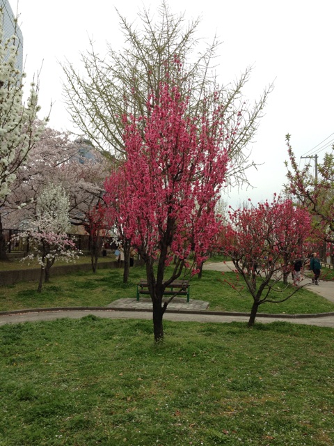 f:id:m3785com:20140405234406j:plain