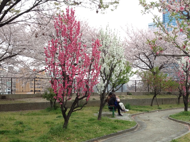f:id:m3785com:20140405234558j:plain f:id:m3785com:20140405234558j:plain