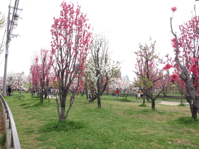 f:id:m3785com:20140405235351j:plain f:id:m3785com:20140405235351j:plain