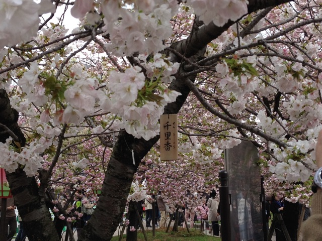 f:id:m3785com:20150411201657j:plain f:id:m3785com:20150411201657j:plain