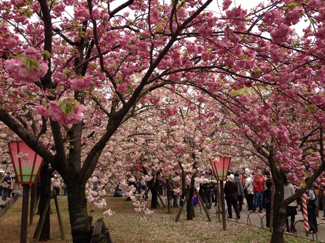 f:id:m3785com:20150411201719j:plain f:id:m3785com:20150411201719j:plain