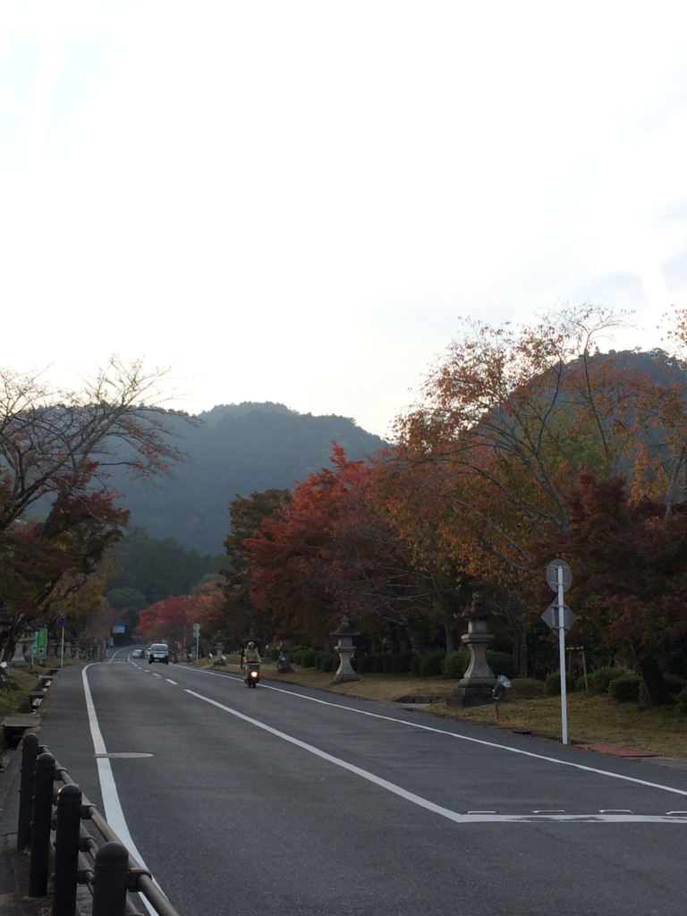 f:id:m3785com:20161113152742j:plain