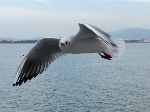 f:id:m3785com:20161115210020j:image