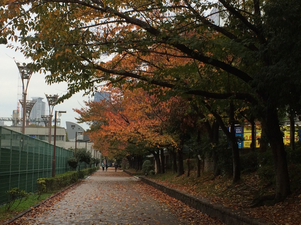 f:id:m3785com:20161119122601j:plain